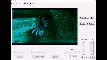 Deep Learning Based Aquatic Robot for the Lionfish Remediation